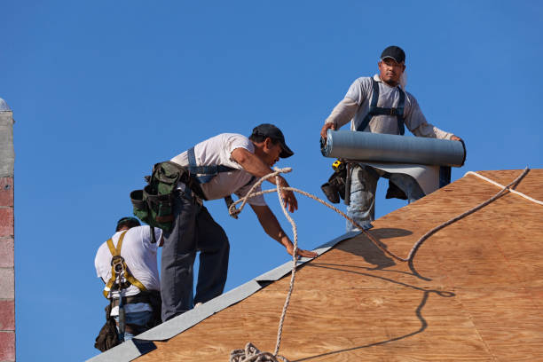 Best Local Roofing Companies  in Pequot Lakes, MN