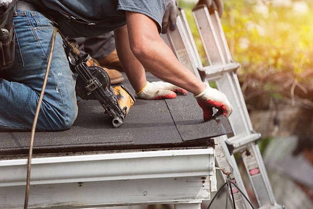 Best Metal Roofing Contractor  in Pequot Lakes, MN